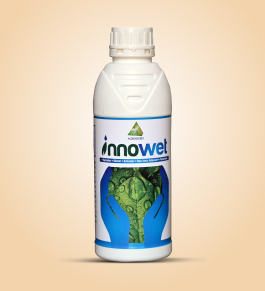 Innowet