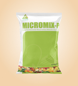 Micromix P