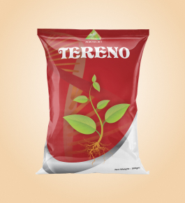 Tereno